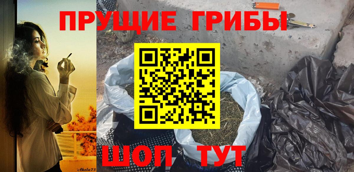 как найти закладки  Острогожск  Псилоцибиновые грибы мицелий 