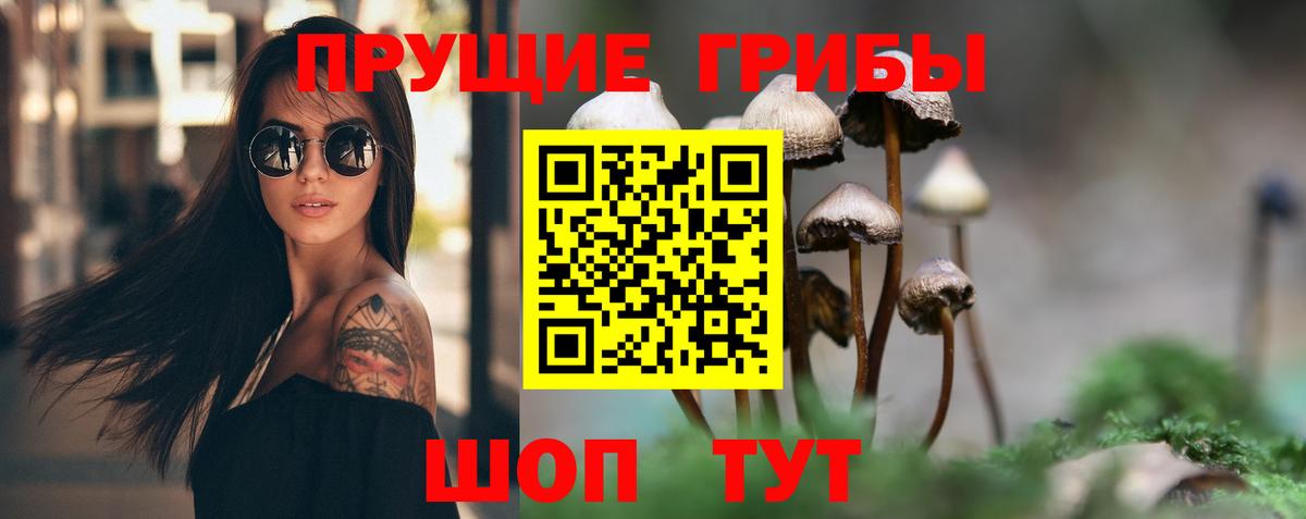 Псилоцибиновые грибы ЛСД Острогожск
